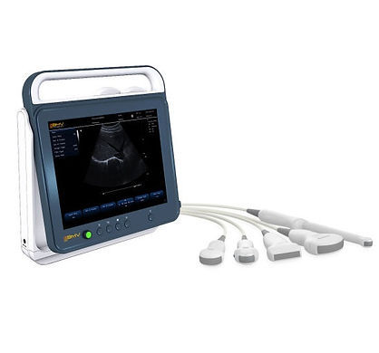 Ecógrafo veterinario portátil - AGS Medical - multifuncional / blanco y negro