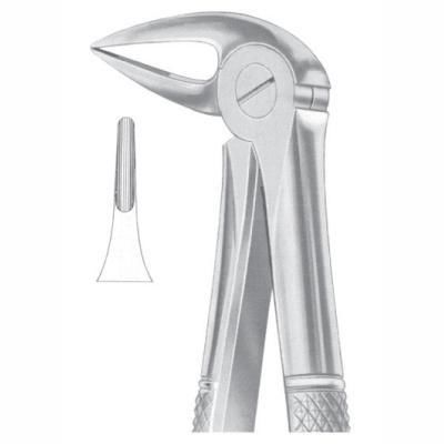 Fórceps de extracción para raíz dental - AE 1032 - Arsa Enterprises - para fragmentos dentales