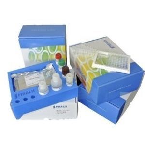 Kit de prueba para la investigación - RUO - FIRALIS GROUP - de biomarcador / de sangre / ELISA