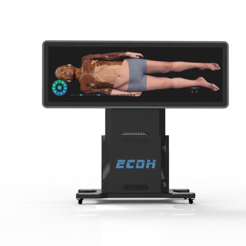 mesa de anatomía para formación - Shandong Digihuman Technology CO., Inc.
