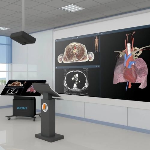 Sala de realidad virtual semi-inmersiva - ECDH-Int CAT - Shandong Digihuman Technology CO., Inc. - 3D / médica / con paciente virtual