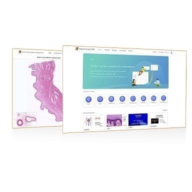 Software de educación - Shandong Digihuman Technology CO., Inc. - de anatomía / de laboratorio de histopatología / de navegación