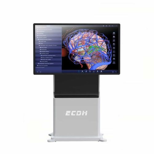 Terminal multimedia del paciente táctil - ECDH-Int 55 - Shandong Digihuman Technology CO., Inc.