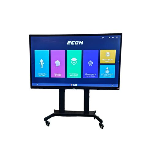 Terminal multimedia del paciente táctil - ECDH-Int 98 - Shandong Digihuman Technology CO., Inc.