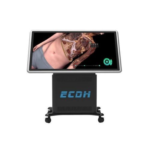 Mesa de anatomía cación médica - ECDH-Int II 55 - Shandong Digihuman Technology CO., Inc. - para escuela de medicina / anatomía 3D / para formación clínica