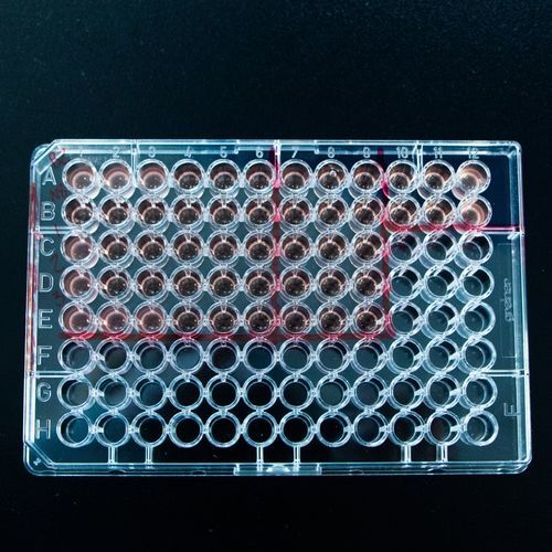 Reactivo anticuerpos - A10150 - IMMY - de suero / antígeno / de diagnóstico