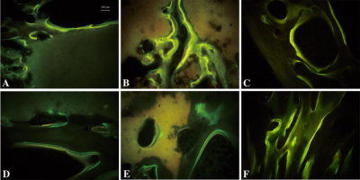 Reactivo factor de crecimiento - PR27023 - Neuromics - para la investigación científica / liofilizado / BMP-2