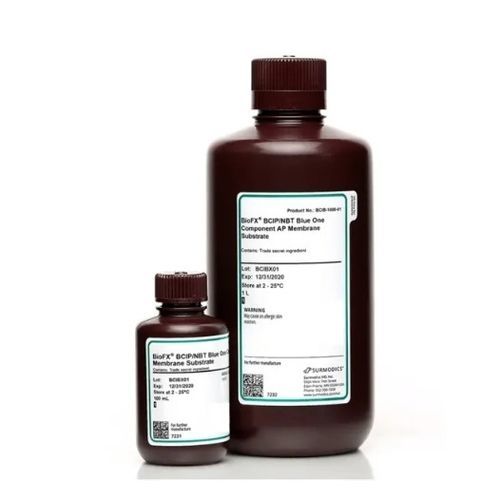 Reactivo enzima - BCIB-0100-01 - Surmodics IVD, Inc. - para western blot