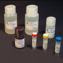 Kit de prueba para la investigación - LS-K268 - LifeSpan BioSciences - proteína total / de ATP / de adenosín monofosfato