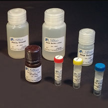 Kit de prueba para la investigación - LS-K302 - LifeSpan BioSciences - para la detección de medicamentos / de glicerol / de triglicéridos