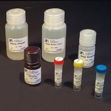Kit de prueba de fosfatasa alcalina - LS-K301 - LifeSpan BioSciences - para la investigación / de suero / por plasma