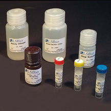 Kit de prueba de quinasa creatina - LS-K311 - LifeSpan BioSciences - para la investigación / de farmacología / de quinasa creatina
