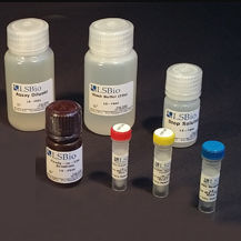Kit de prueba etanol - LS-K299 - LifeSpan BioSciences - para la investigación / de farmacología / de NAD