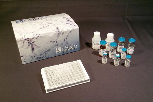 Kit de prueba para la investigación - LS-F15897 - LifeSpan BioSciences - ELISA / liofilizado / a medida
