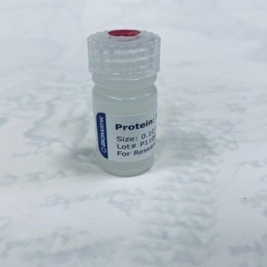 Reactivo en solución - RPU40010 - Biomatik - para la investigación / liofilizado / de proteínas