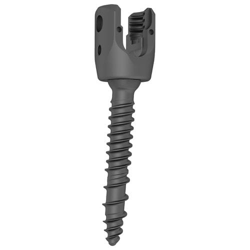 Tornillo pedicular toracolumbar - 324013 series - Boneunion Medical - poliaxial / de titanio