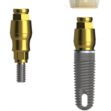 Pilar para implante de titanio - ORBIT  Zimmer® - BIONICA - interno / recto / de tornillo