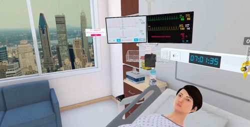 Software médico - UbiSim - para exploraciones obstétricas / de formación / de simulación
