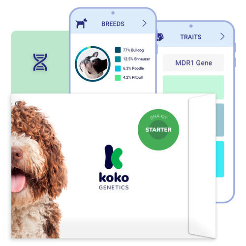 Kit de prueba de ADN genómico - GENELINK S.L. - veterinario / para perro / de genes