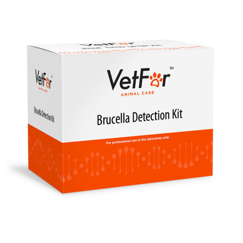 Kit de prueba veterinario - VetFor™  - VETFOR - para cánidos / para felinos / de Brucella
