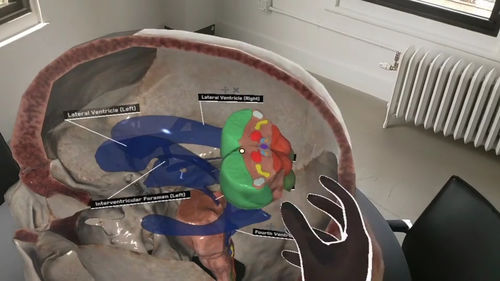 Sala de realidad virtual inmersiva - AnatomyX® - MEDIVIS - médica / para la formación en medicina