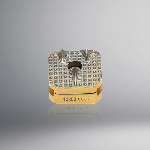 Prótesis de disco cervical - Karmed Health Products