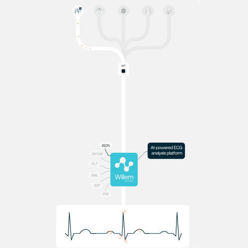 Plataforma de IA para el sector médico - Willem - Idoven - para cardiología / de diagnóstico / de análisis