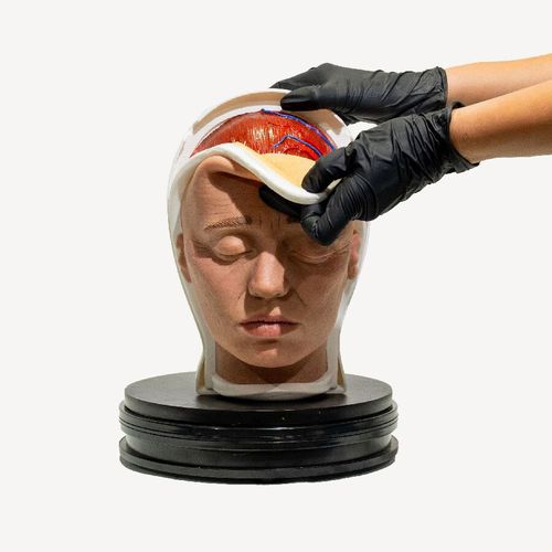 Simulador de formación - Relamed simulators - quirúrgico / de cabeza