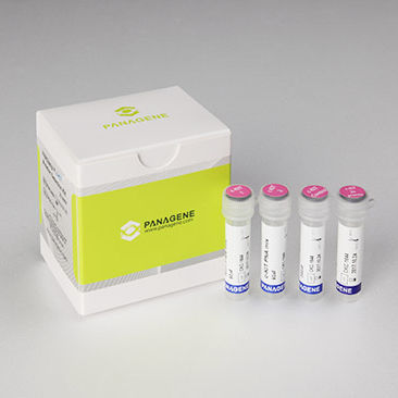 Kit de prueba para el cáncer - PNAClamp™ - HLB PANAGENE Co., Ltd. - de oncología / de tejidos / para PCR en tiempo real