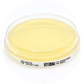 Placa de Petri con agar - 15336S - Liofilchem S.r.l.