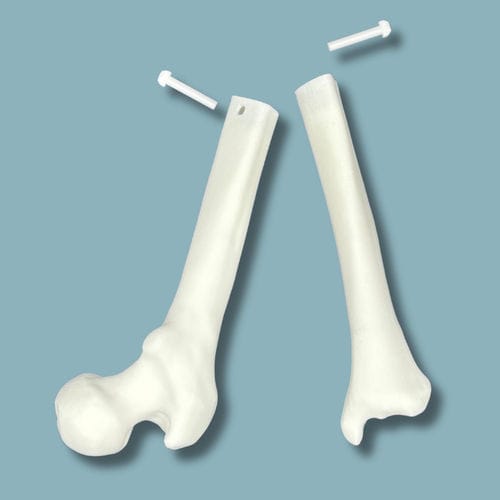 Modelo anatómico de rodilla - 04-11-02 - ADDIDREAM - de formación / de plástico / blanco
