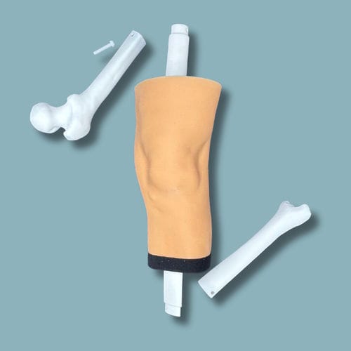 Modelo anatómico de rodilla - 04-10-02 - ADDIDREAM - de tibia / de fémur / de cirugía