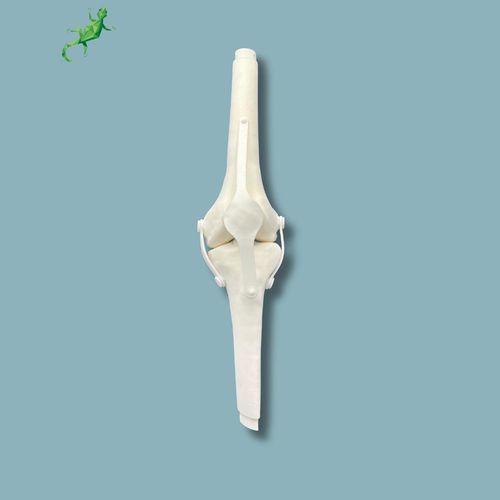 Modelo anatómico de rodilla - 04-15-02 - ADDIDREAM - de cirugía / de formación / de plástico