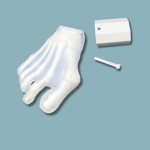 Modelo anatómico de kit - 01-44-01 - ADDIDREAM - de pie / de plástico / transparente