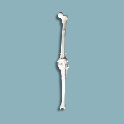 Modelo anatómico de rodilla - 04-36-01 - ADDIDREAM - de rótula / de hueso esponjoso / de tibia
