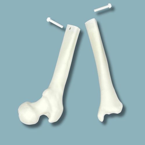 Modelo anatómico de rodilla - 04-39-01 - ADDIDREAM - de tibia / de fémur / de artroscopia