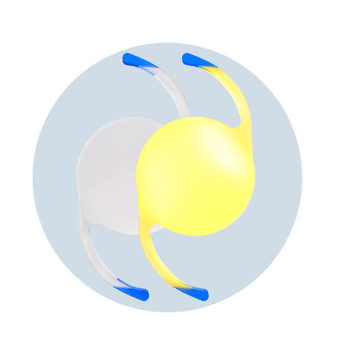 Lente intraocular monofocal - iSert® - HOYA Medical Singapore - PMMA