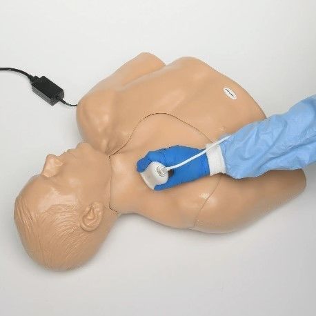 Fantoma de prueba para ecografía - Elevate Healthcare - de torso / de tiroides