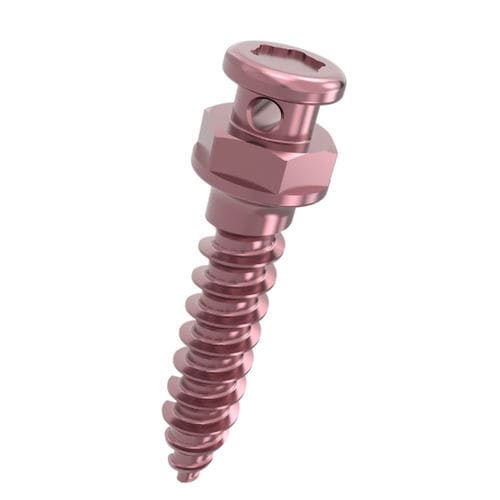 Miniimplante de titanio - 701831 series - DentalMaster (Xiamen) Medical Technology Co., Ltd - cónico / recto / de tornillo