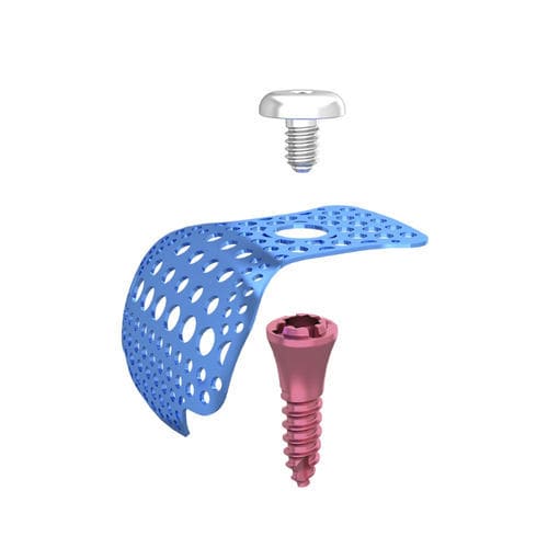 Tornillo de transfijación de titanio - DentalMaster (Xiamen) Medical Technology Co., Ltd - de tornillo / liso