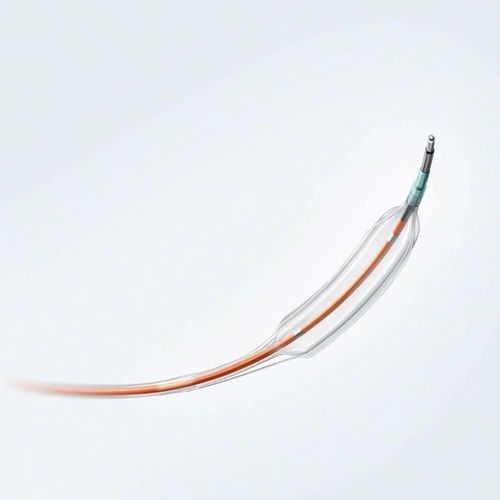 Catéter de soporte - REVIVE MEDICAL TECHNOLOGIES INC. - coronario / con balón / de elución medicamentosa