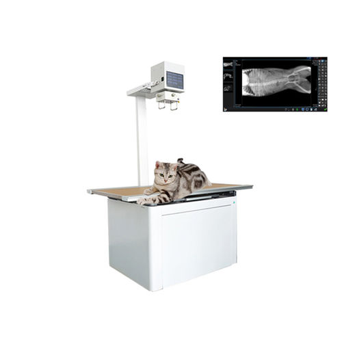 Sistema de radiografía veterinaria digital - Shandong Newheek Image Equipment - con mesa