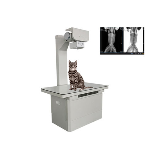 sistema de radiografía veterinaria digital - Shandong Newheek Image Equipment