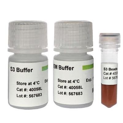 Reactivo de bolas magnéticas - 40058S - BioDynami - para purificación de ADN