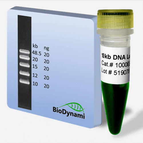Escalera de ADN - 10006 series - BioDynami - para cuantificación de ADN