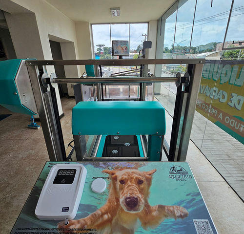 Cinta de correr veterinaria sumergida - Hidromaq Tecnologias Eireli - para perros