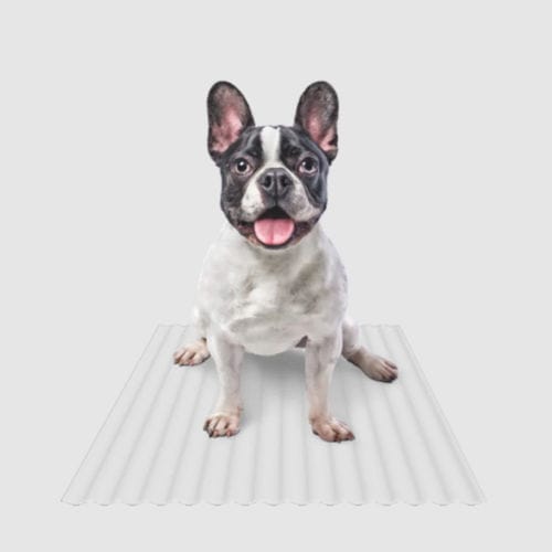 Alfombra quirúrgica absorbente - Drywave&reg; - Ramedical