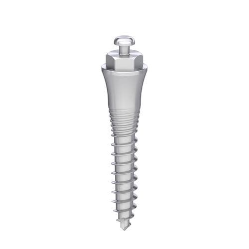 Tornillo para implante dental de titanio - Ancora - Bionika Medline Kft. - de tornillo / liso