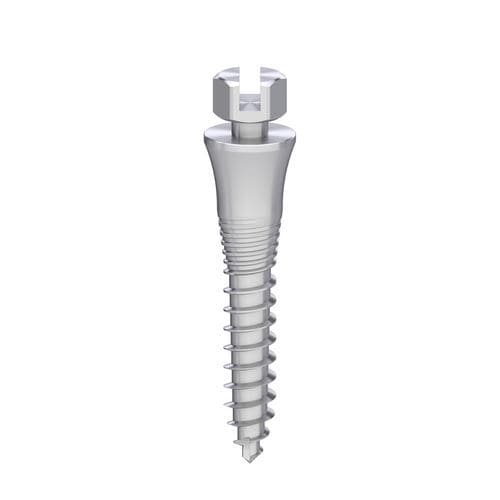 Tornillo para implante dental de titanio - Ancora - Bionika Medline Kft. - de metal / de tornillo / liso