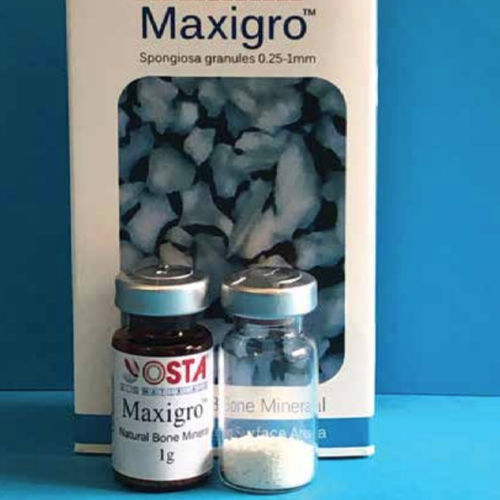 Sustituto óseo xenotransplante - OST-POW-S-1G - OSTA Biomaterials - para cirugía dental / gránulos